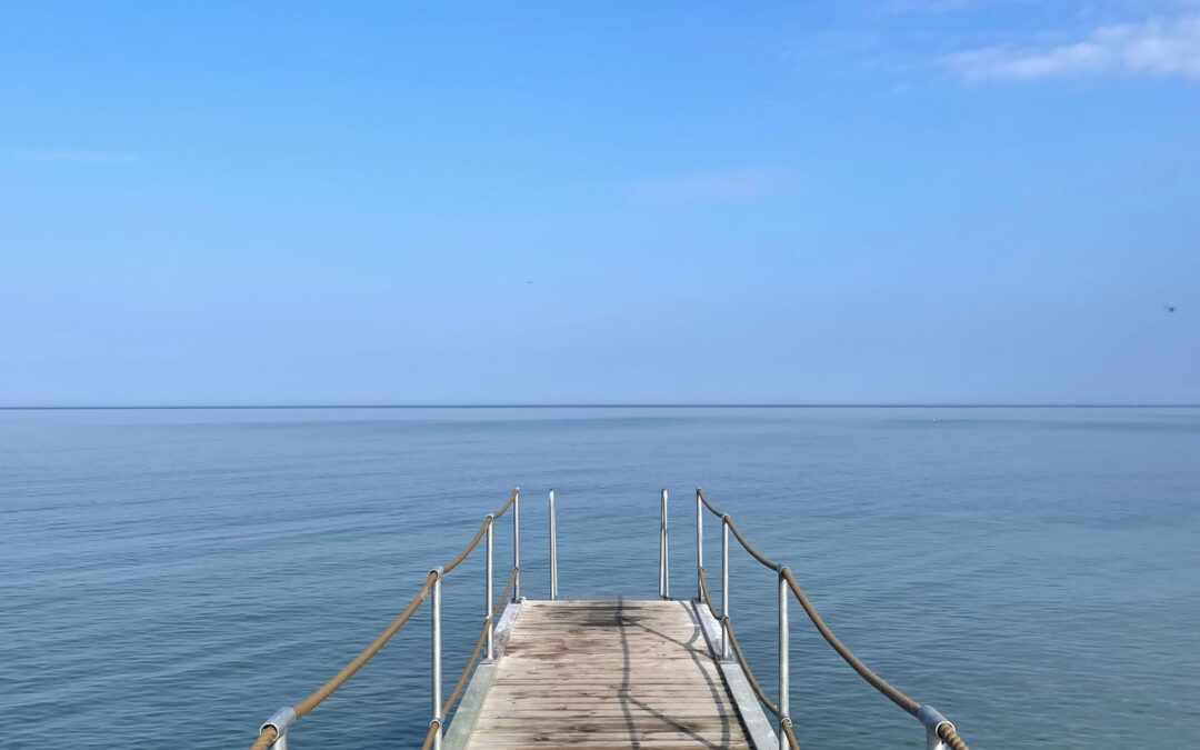 Elevating Your Talent Strategy